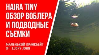 Воблер Lucky John Haira Tiny: опыт использования крэнкбейта и подводные съемки