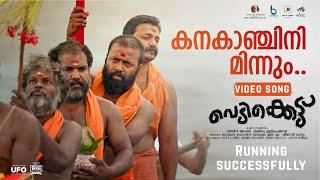 Kanakanjini Song | Vedikkettu Movie Song | Vishnu Unnikrishnan | Bibin George | Syamprasad |