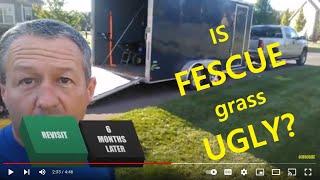 Is Fescue Grass UGLY