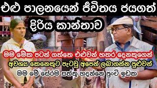 එළු පාලනයෙන් ජීවිතය ජයගත් දිරිය කාන්තාව/Goat Farming Sri Lanka #livestock #goatfarming #agro