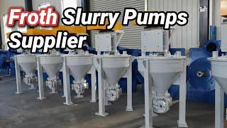 Professional Vertical & Horizontal Froth Slurry Pumps Supplier