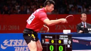 Ma Long Stroke Study 3