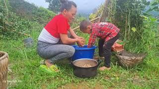 Harvest peanuts, boil peanuts to eat, boy burns down house and gets kicked out of home