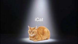 iCat