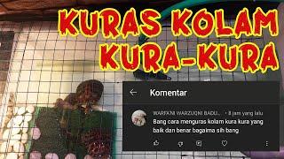 Cara kuras kolam kura kura brazil. Cara merawat kura kura