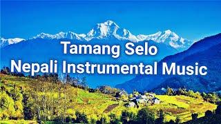 Tamang Selo | Nepali Instrumental Music | Rudra Band Nepal