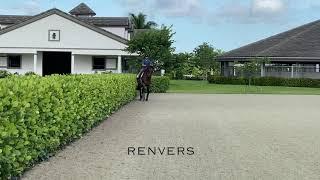 At Home with Glenbeigh Farm | Travers & Renvers | Show Jumping Training Tips