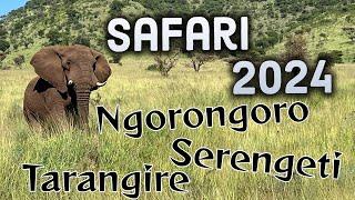 Ngorongoro, Serengeti Tanzania Safari trip 2024 - 4K