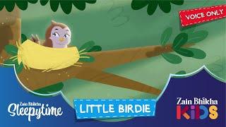 Little Birdie | Voice Only | Zain Bhikha