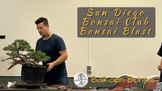 San Diego Bonsai Club - 2024 Bonsai Blast - Bonsai Destination - Baikoen Bonsai Club