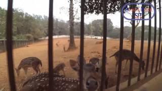 ST Travel Show: Episode 01 (Dhaka Zoo)