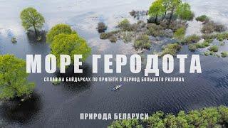 Такую Беларусь вы не видели. Припять в период большого разлива. Сплав на байдарках к морю Геродота