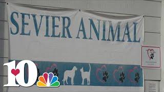 Sevier Animal Care Center asking for donations to finish, furnish new shelter facility