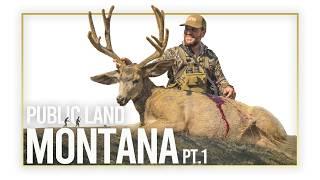 Montana Public Land Mule Deer!  Mike's Velvet Buck! (Part 1)