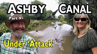 432. Narrowboating the Ashby Canal - Part Nine