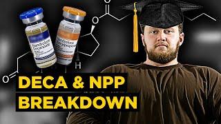 Deca-Durabolin & NPP (Nandrolone) Steroid Overview | Comparison, Side Effects, Dosing [PEDucation]