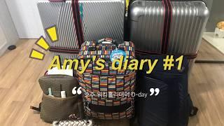 AmyVLOG-20190518~19 한국-말레이시아-호주/에어아시아프리미엄플랫베드/호주워킹홀리데이시작/인천공항에서아발론공항