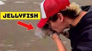 SATISFYING Rescuing Jellyfish & Smashing Foam!