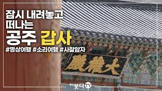 공주 갑사 | 천년의 숨결 휴 14 | 전설 설화 이야기 문화 역사 사찰 여행 불교 암자 천년의역사 노년여행 혼자여행 가족여행 템플스테이 가족여행