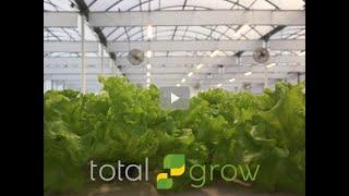 TotalGrow Lights