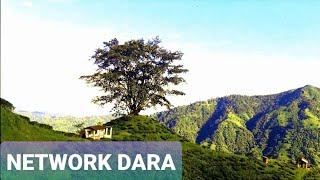 Shivitar Tea Garden | Kurseong | Trek & Nature Time-lapse