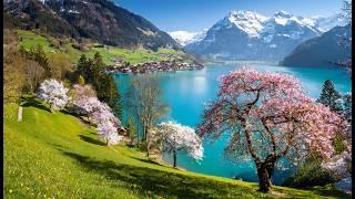 Beautiful Spring in Switzerland with Snowy Mountains | #swiss #swissview