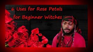 Green Witchcraft: 6 Uses for Rose petals for Beginner Witches