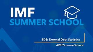 IMF Summer School - External Debt Statistics (EDSx)