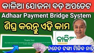 Kalia Yojana Adhaar Payment Bridge System New update | ABPBS e-KYC 2021