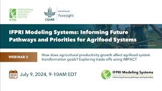 How does agricultural productivity growth affect agrifood system transformation goals?