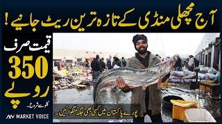 2025 New Fish Market Lahore | Wholesale Fish Market | Machli Mandi Lahore | Fish Rates Lahore