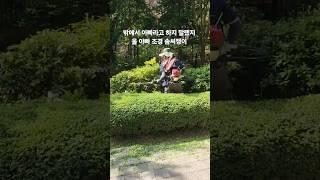 아빠라고 부르지 말랬지 #잔디조경#가위손#인정