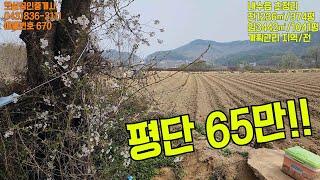 매물번호 670/ 청주시 초정리에 넓직한 계획관리 토지가 나왔네요