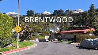 Driving Brentwood, Barrington, Bundy, Los Angeles