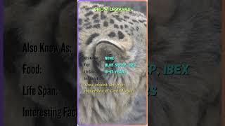"Meet the Majestic Animals | Animal Name, Facts, and More | YouTube Shorts" #ZB39 #ZoomorphicBytes