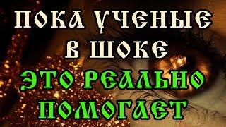 Зрение действительно начинает восстанавливаться уже во время просмотра | Визуальный сеанс.