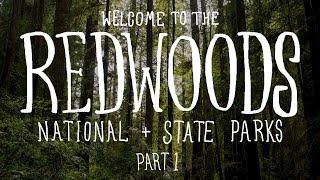 Road Trip through the Redwoods - Part 1