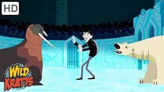 Winter Adventures Part 6 | Happy Holidays! | Wild Kratts