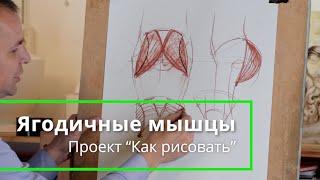 Как рисовать "Ягодичные мышцы" - А. Рыжкин