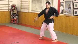 Kata - NICHO SAI - Matayoshi Kobudo