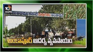 అంకాపూర్ ఆదర్శ వ్యవసాయం | Ankapur Agriculture Modern Farming Methods | Matti Manishi 10TV News