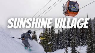 Sunshine Village Ski Resort Review & Mountain Guide