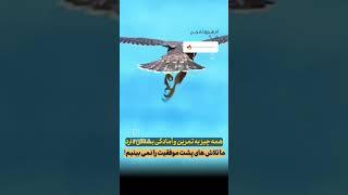 هیچ موفقیتی اتفاقی نیست