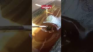 Sugar Jaggery preparing | saif vlogs kannada | 2024