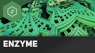 Enzyme