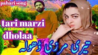 Tari marzi dhola new pahari dukhi song 2023 Gojri pahari song Mahiya pahadi Gojri song new song