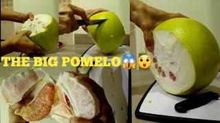 POMELO PEEL HACKS try it # peeling #satisfying #hacks #trending #viral #1k  #highlights