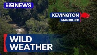 Wild Victorian storms leave one man dead | 9 News Australia