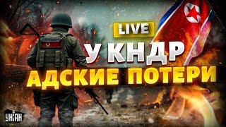 LIVE! У КНДР адские потери: видео первых боев с ВСУ. Корейцы В УЖАСЕ от украинских дронов