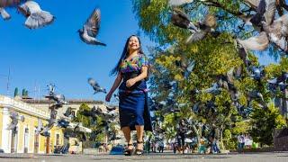 Marimba Estrellita De Mi Pueblo (NUEVO) Sentimientos de Alejandra Vol 3